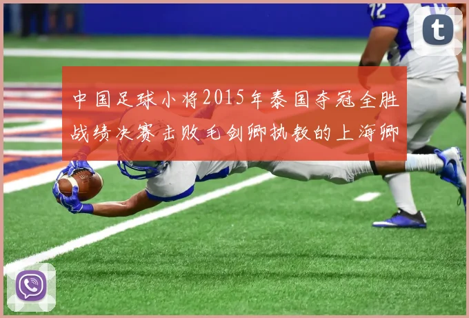 中国足球小将2015年泰国夺冠全胜战绩决赛击败毛剑卿执教的上海卿训